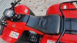 Honda TRX 250 Quad - Image 6