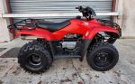 Honda TRX 250 Quad - Image 3